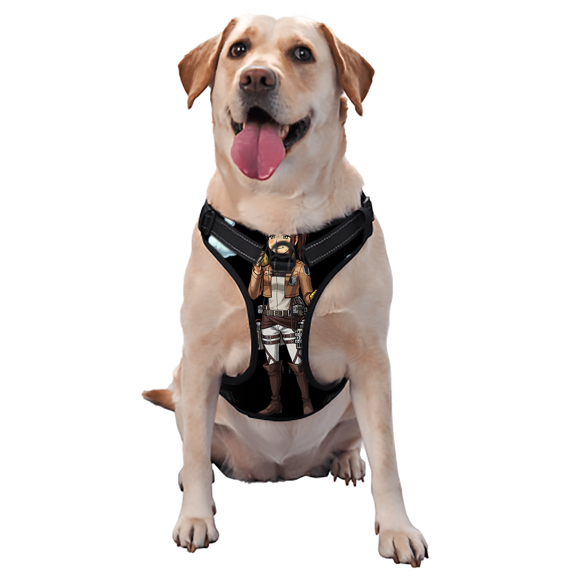 （画像用） 進撃の巨人 サシャ·ブラウス Attack on Titan Sasha Blaus ペット用ハーネス